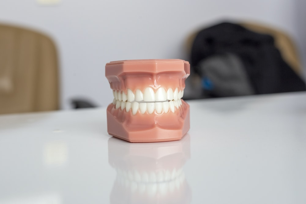 A set of model teeth